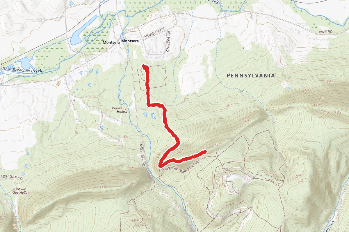 Scenic Vista Trail