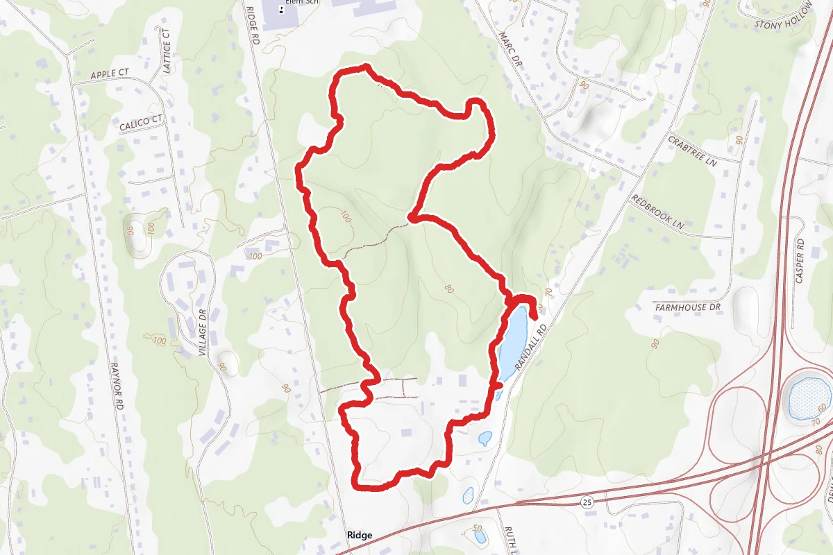 Ridge Trail