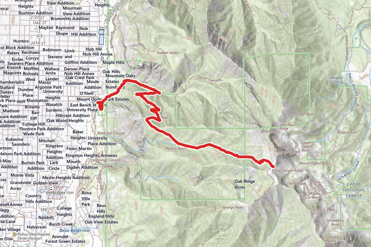 Malan's Basin Trail