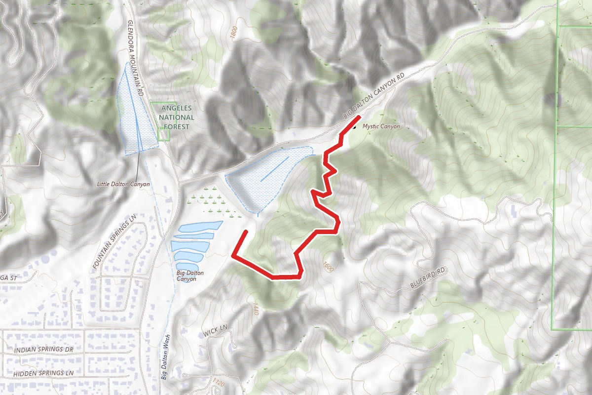 Wren Meacham Trail
