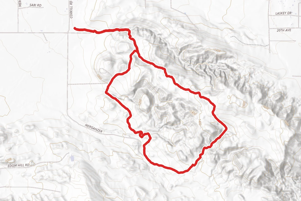 Kim Nicol Trail Loop