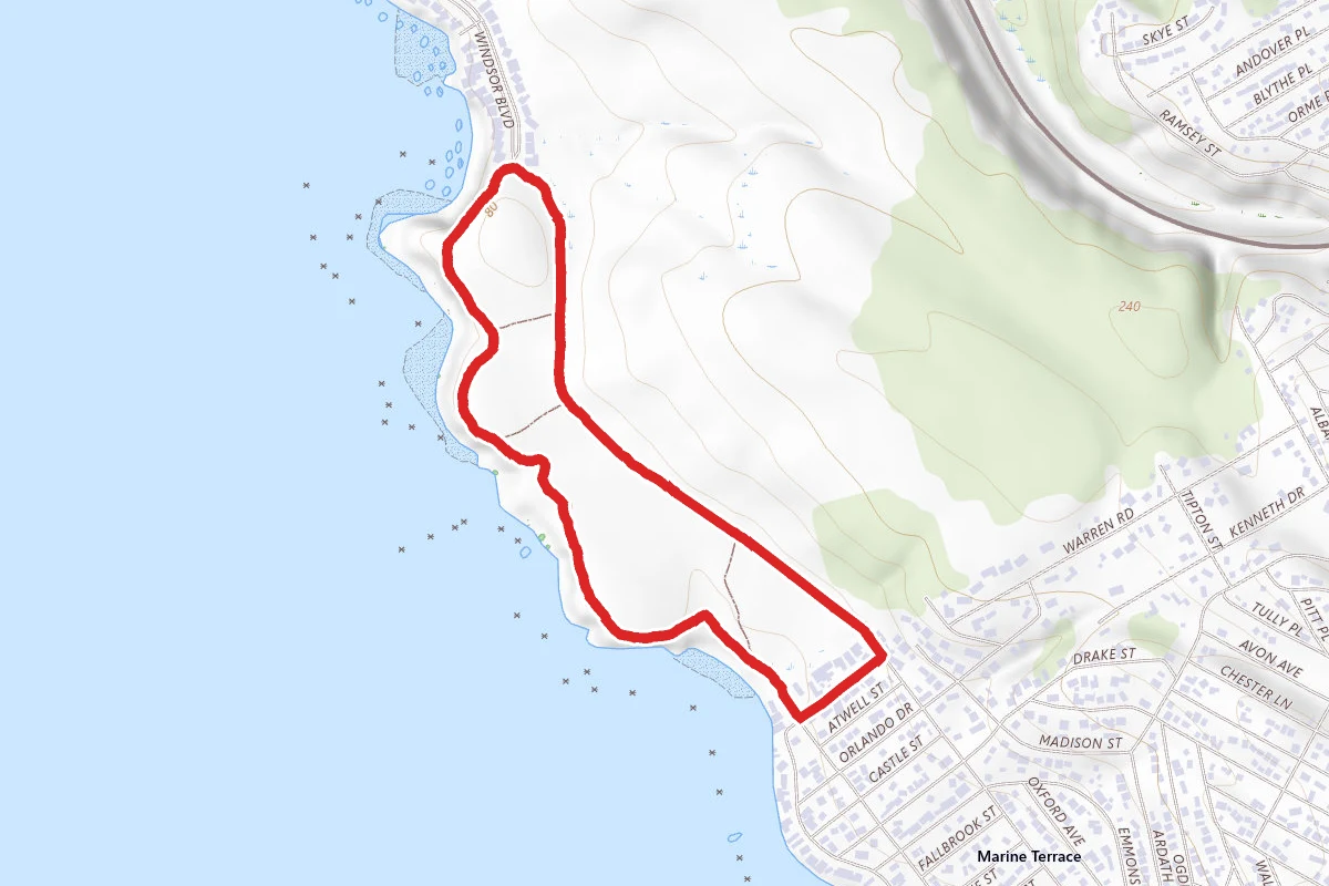 Bluff and Marine Terrace Trail Loop