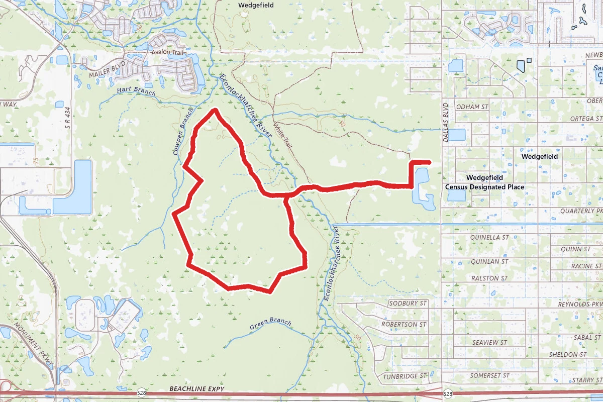 Hal Scott Preserve Yellow Blaze Trail