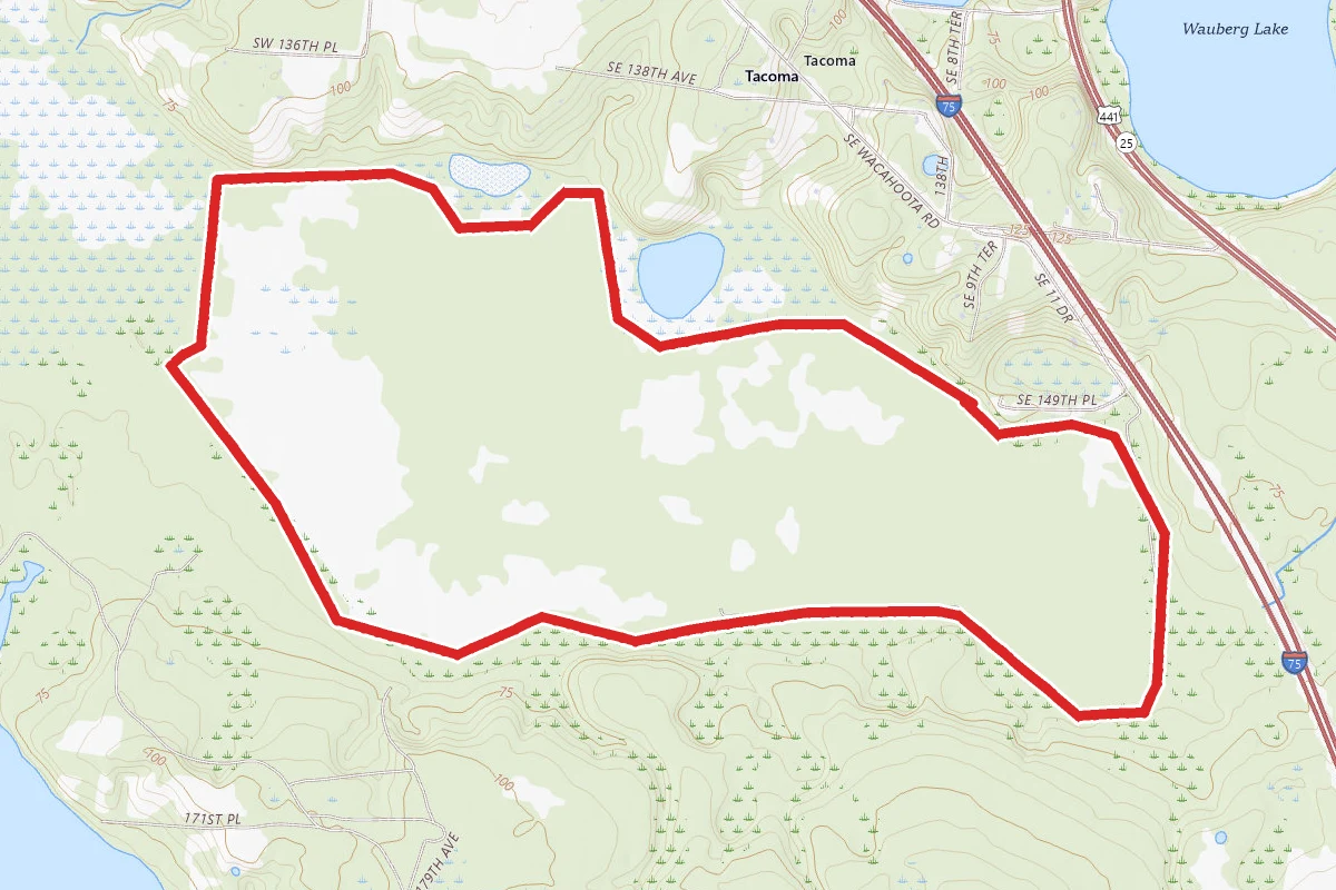 Levy Loop Trail
