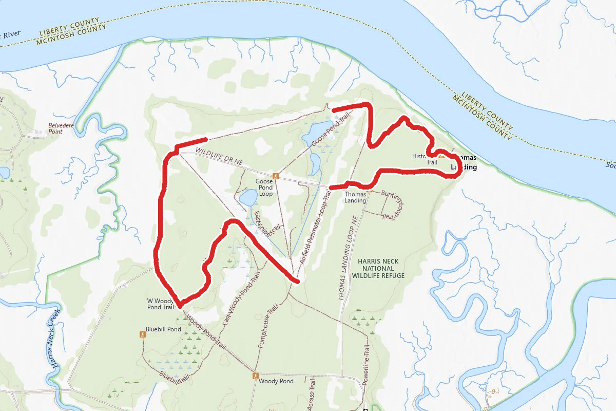 Harris Neck Airport Trail