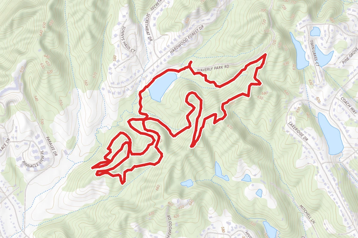 Clinic and Twisty Bends Loops