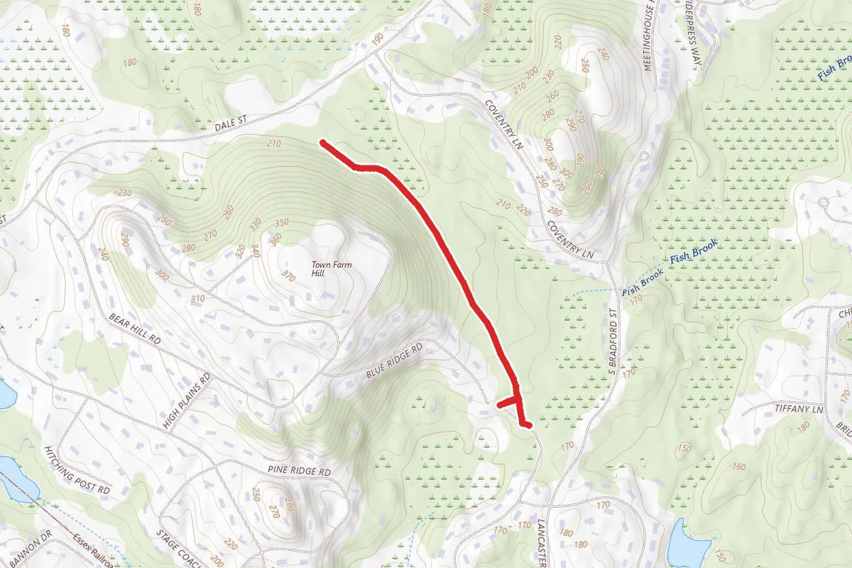 Town Forest Loop