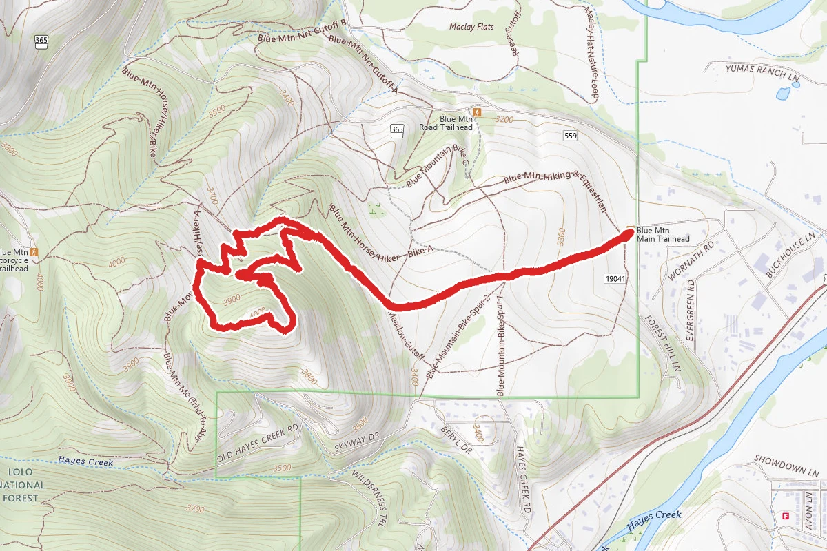 Vista Point Loop