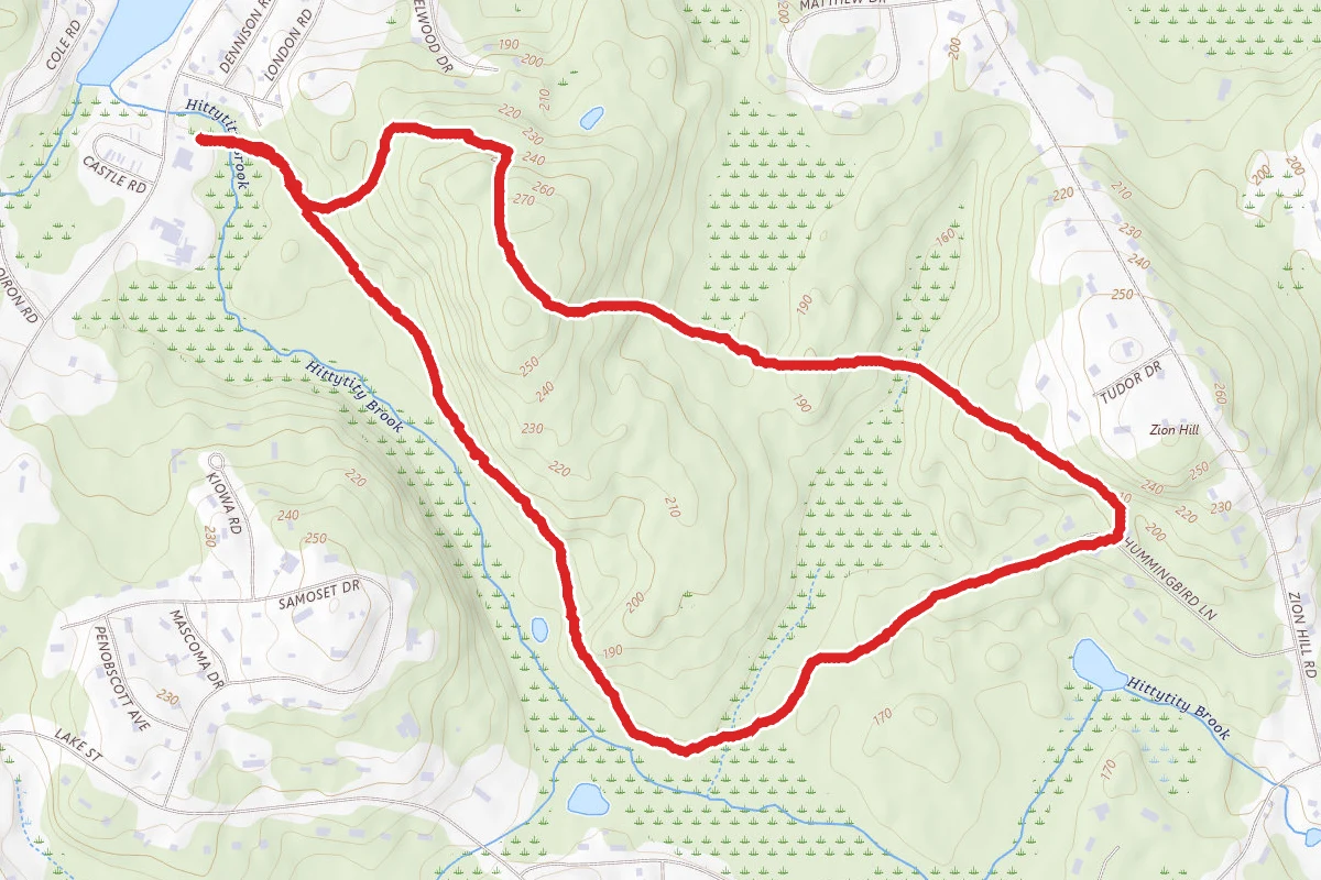 Salem Town Forest Loop