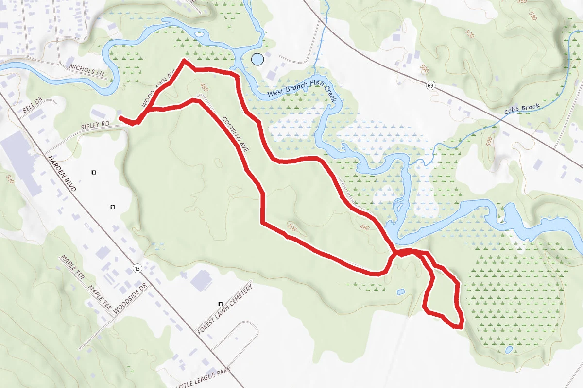 Forest Park