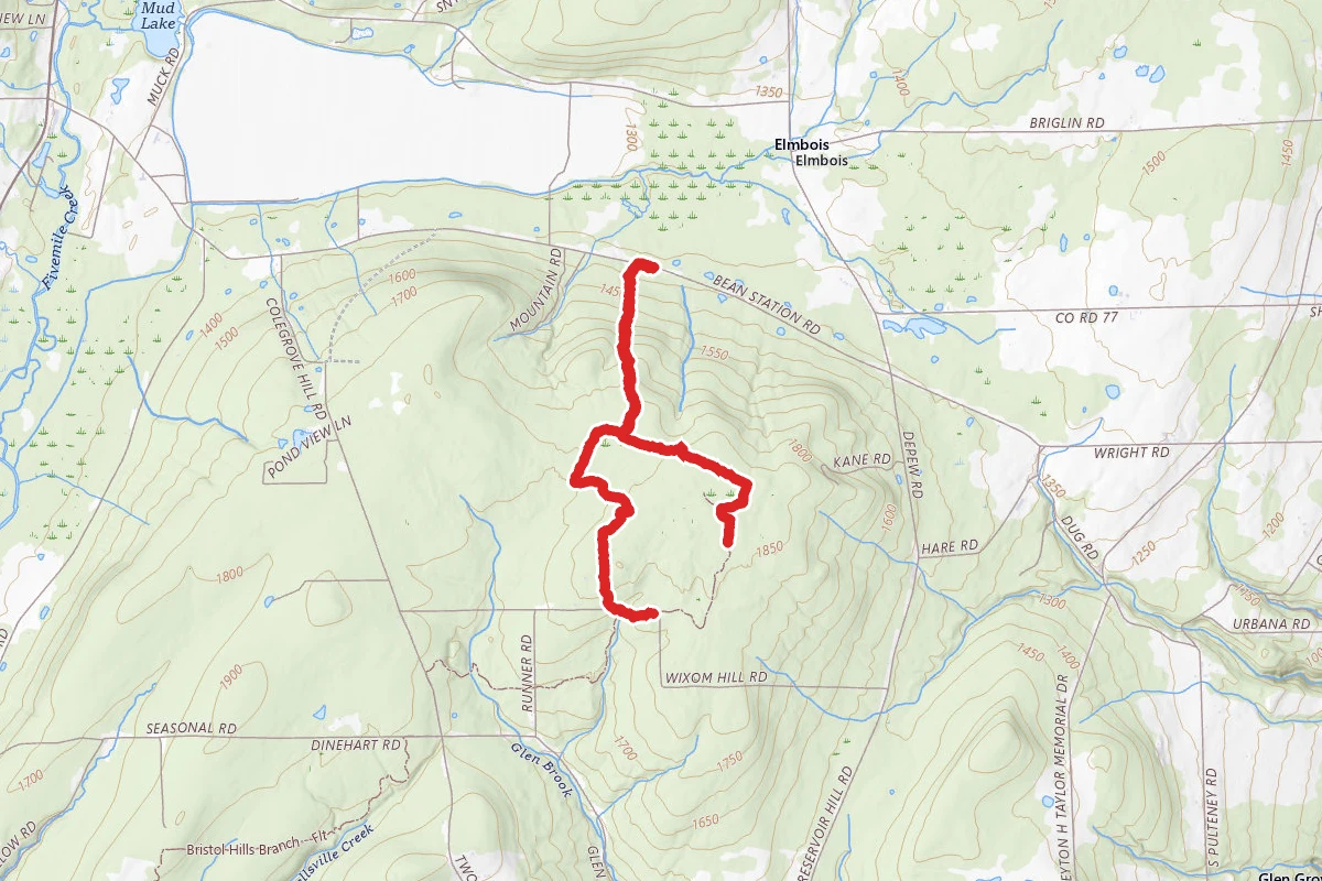 Urbana State Forest Trails