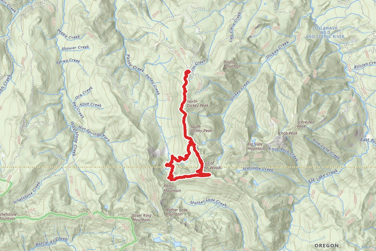 Bull of the Woods, Mother Lodge, Pansy Lake, Dickey Lake Trail Loop