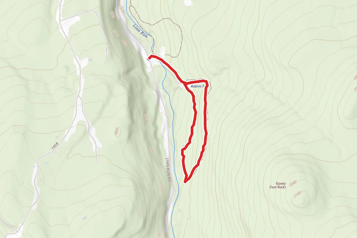 Adams Falls Loop