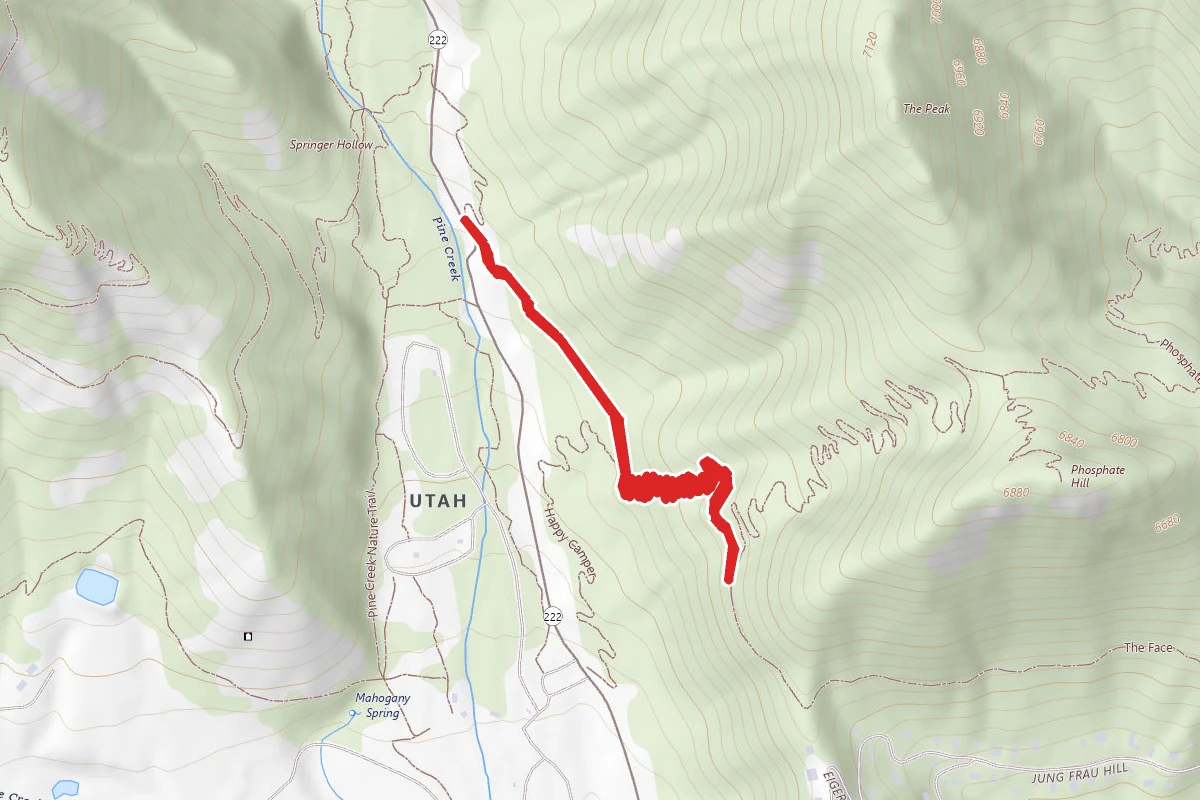 Wow Pine Canyon Trail