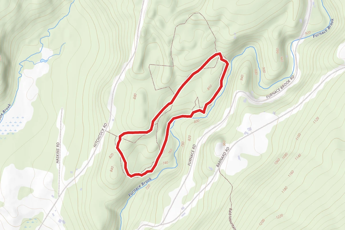 Chaffee Falls Loop