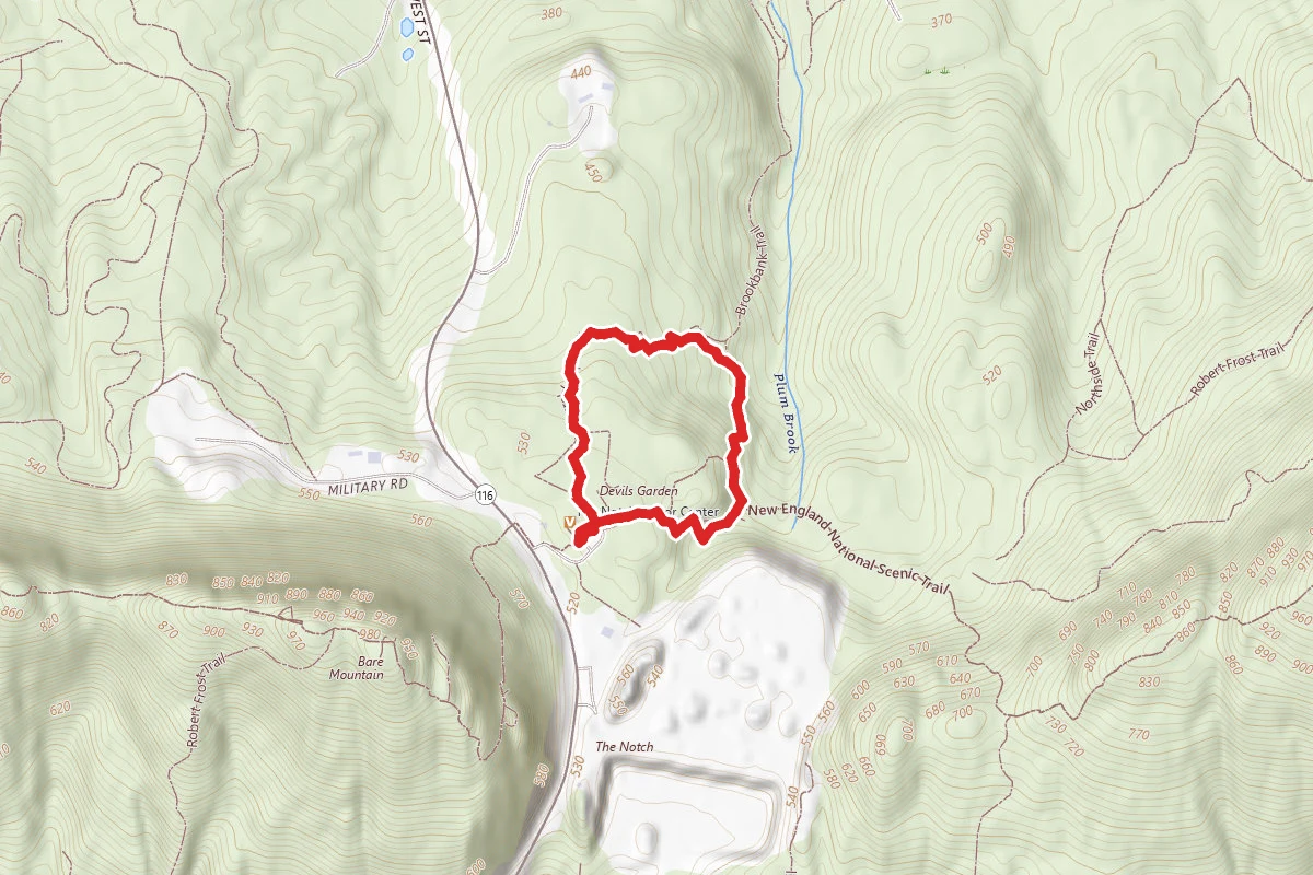 Laurel Loop