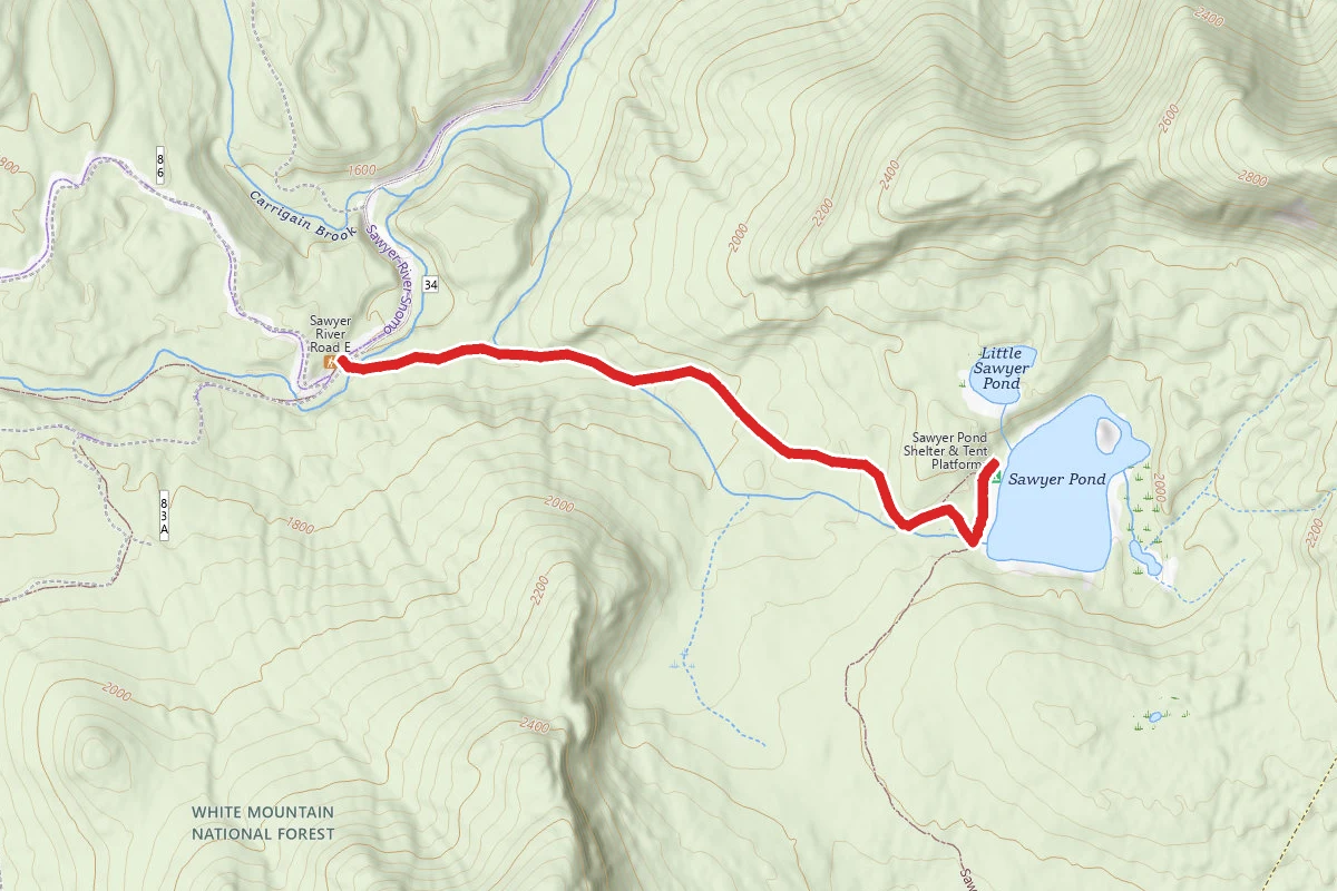 Sawyer Pond Trail