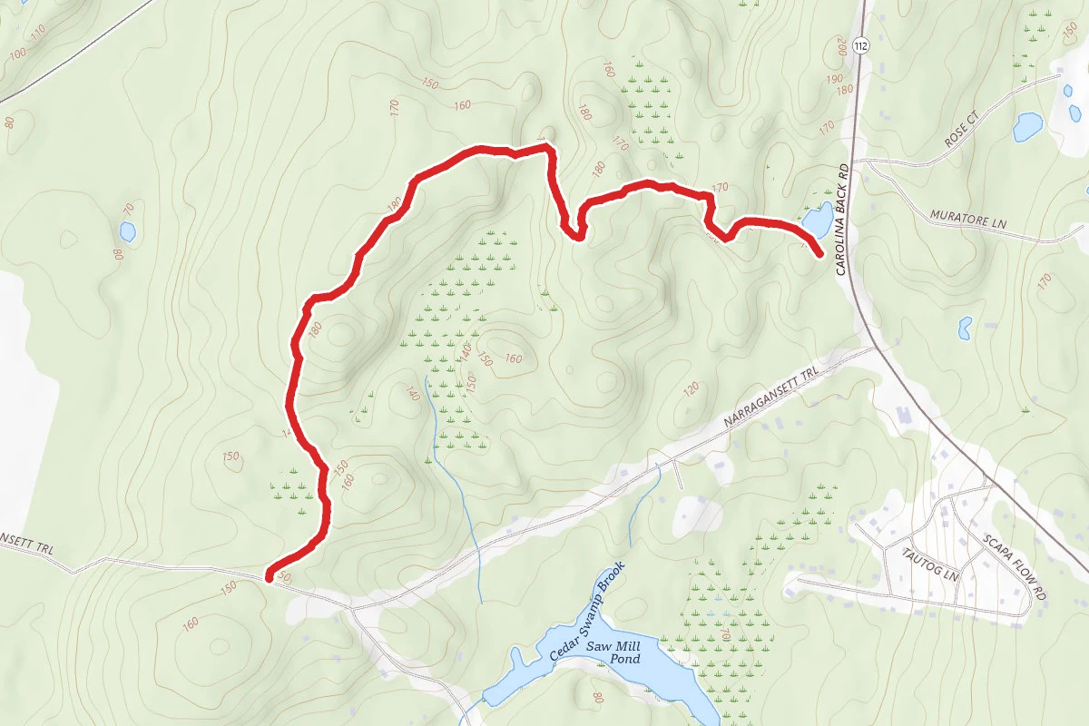 Francis C. Carter Preserve Yellow Trail