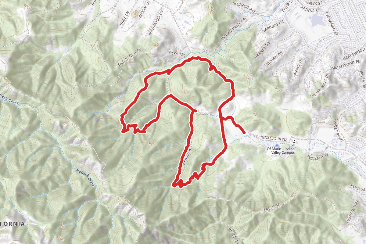 Schwindt, Witzel, and Pacheco Pond Tail Loop