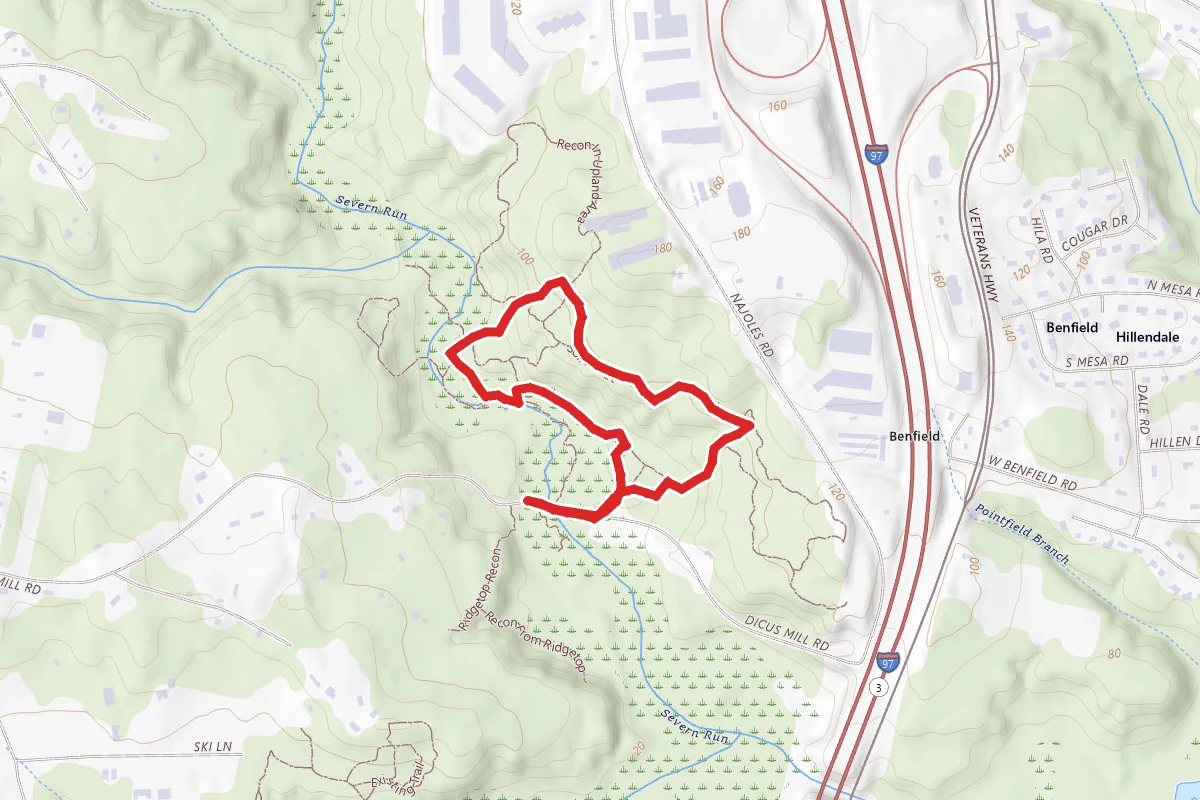 Severn Run Environmental Area Trail