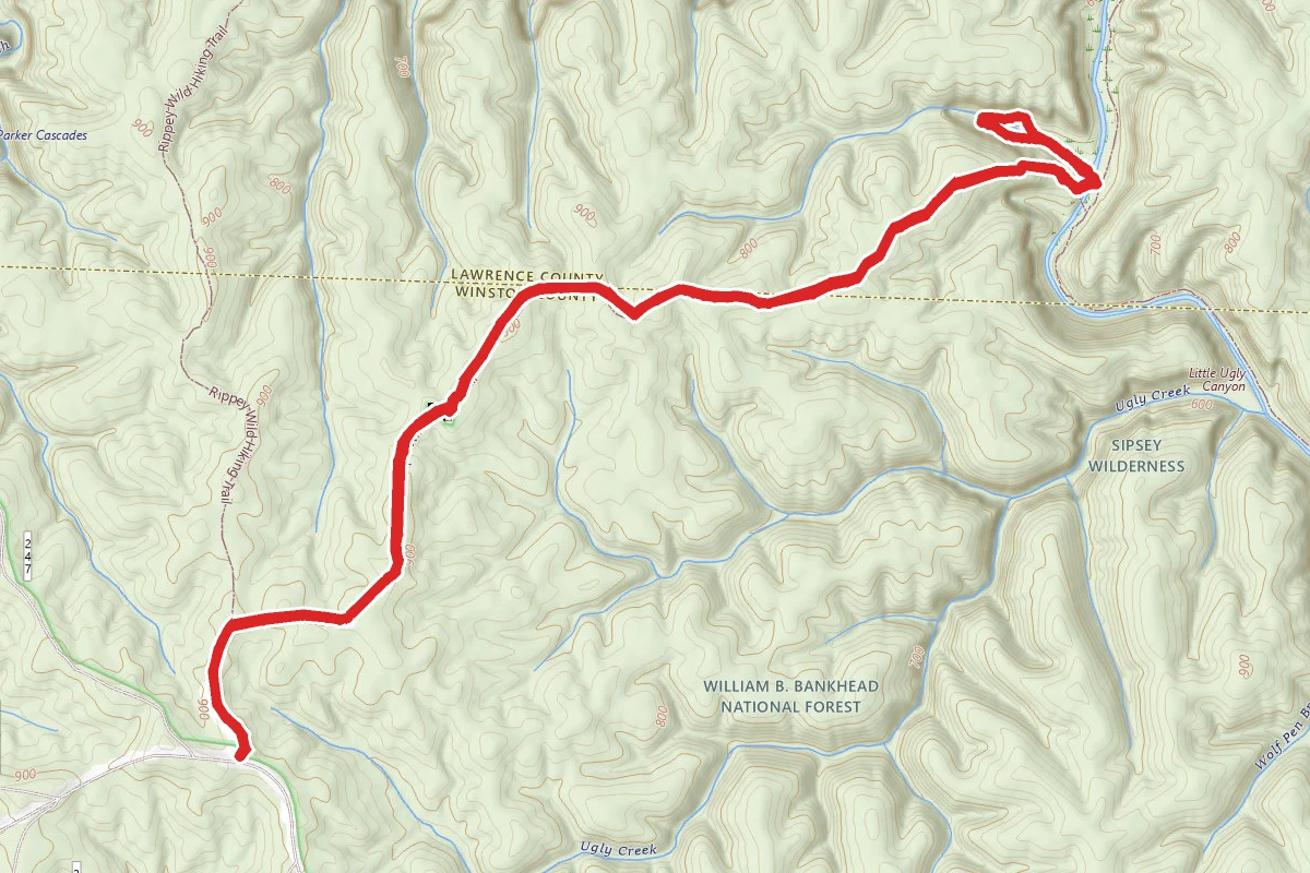 Randolph Wild Trail to the Waterfall