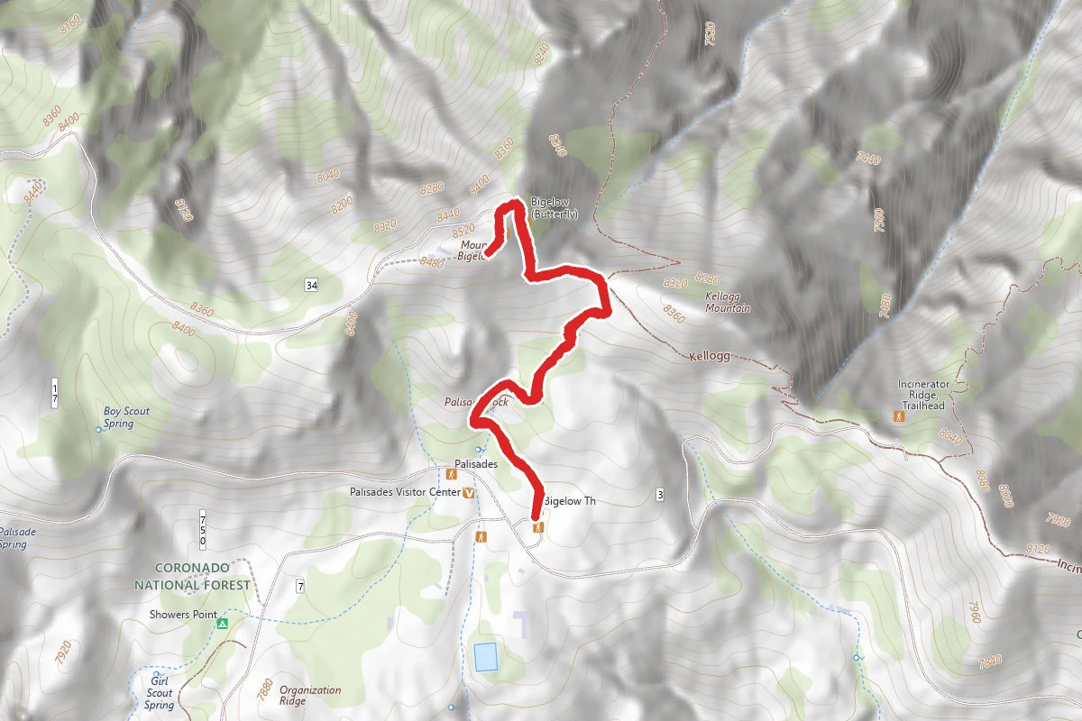 Mount Bigelow Trail