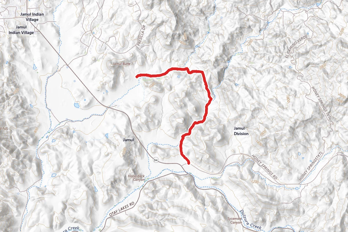 Daley Ranch Meadow Trail