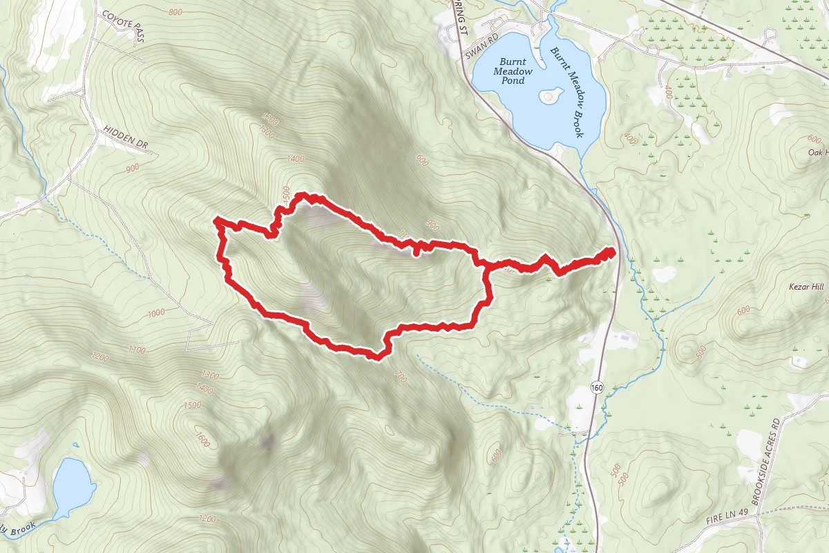 Burnt Meadow Mountain Trail