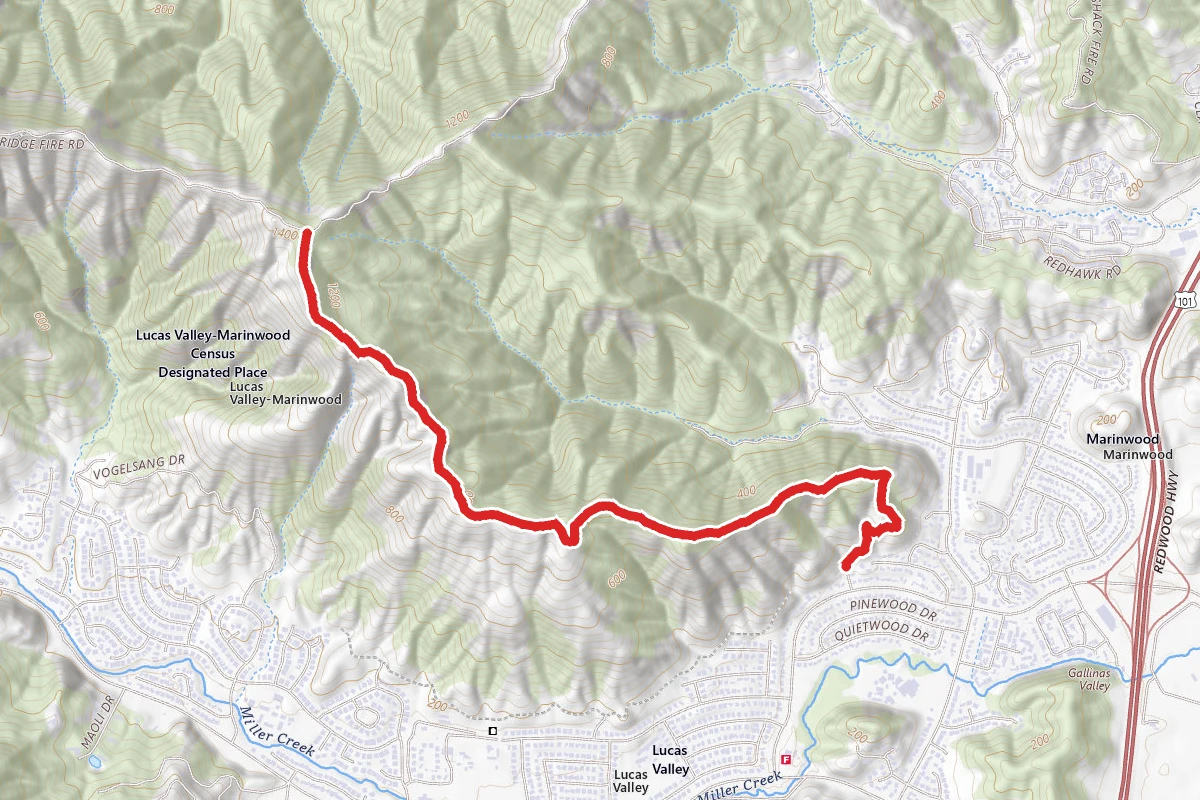 Queenstone Fire Road