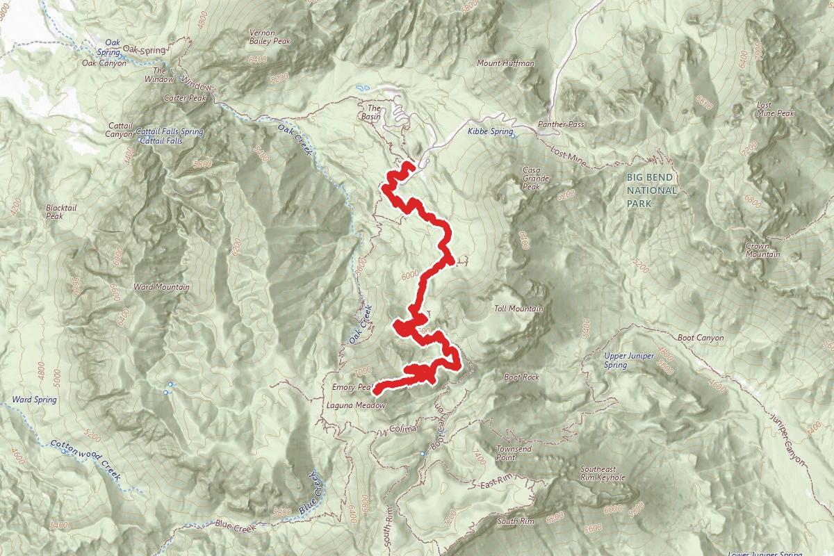 Emory Peak Trail