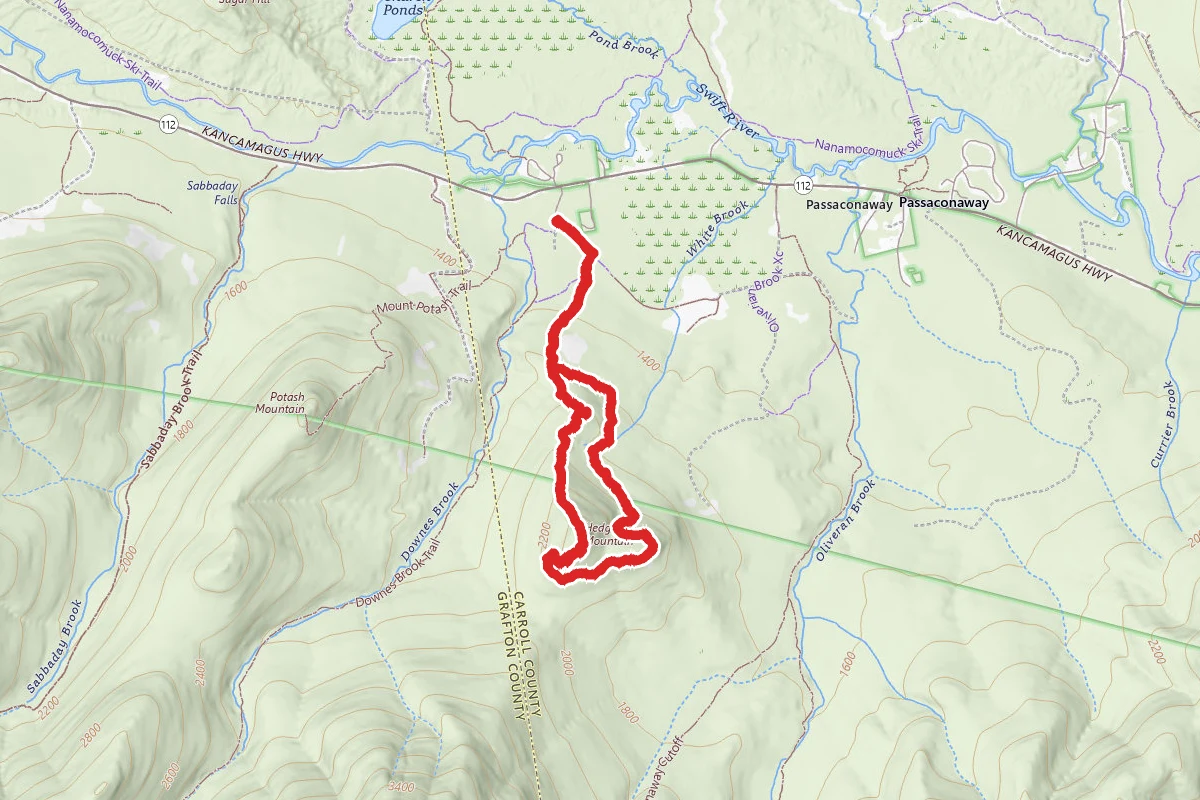 UNH Trail to Hedgehog Mountain