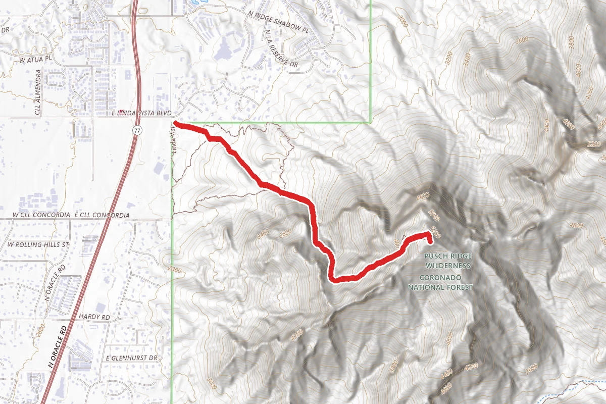 Pusch Peak via Linda Vista Trail