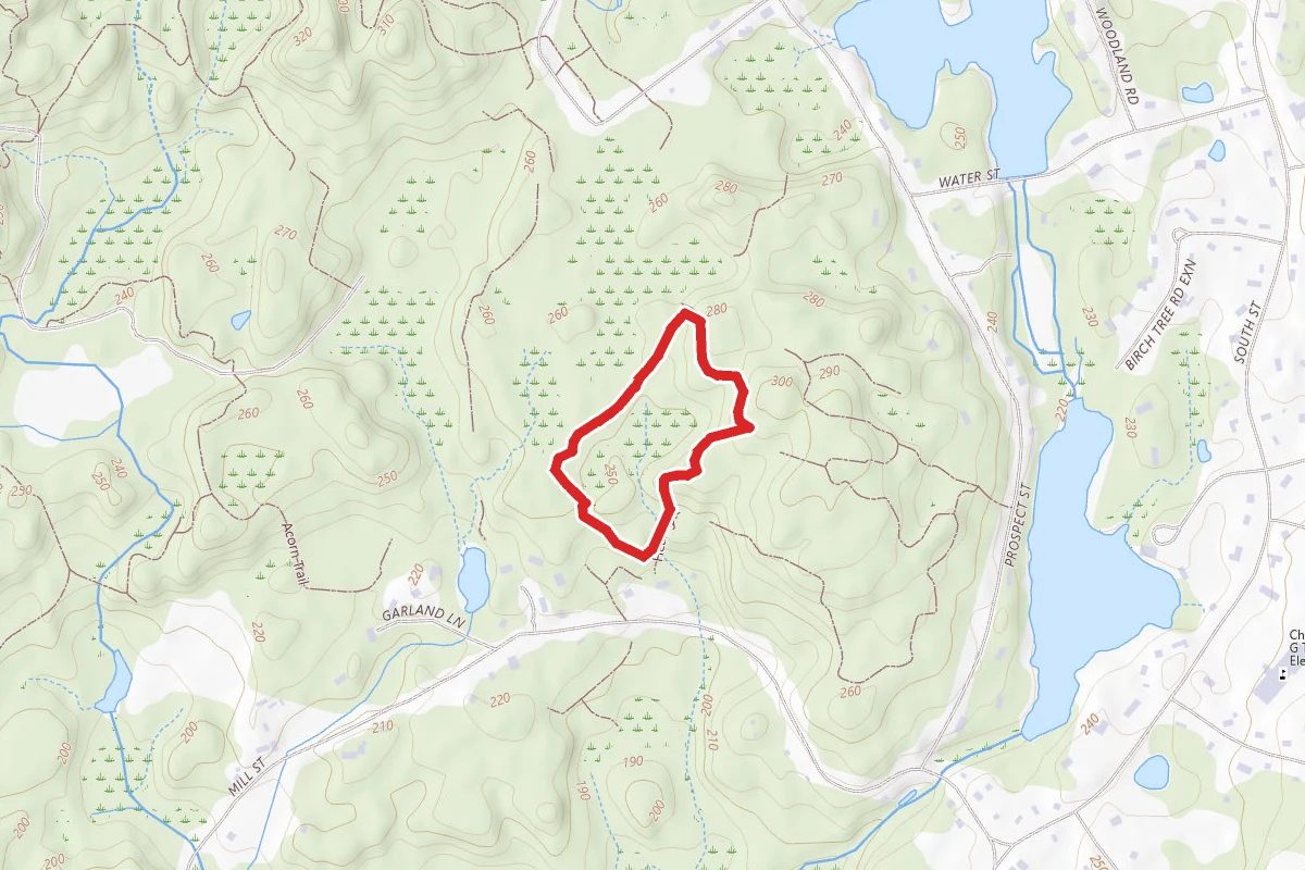 Tupelo Loop Trail