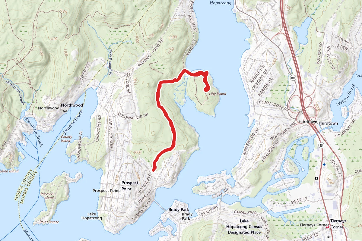 Prospect Point and Liffy Island