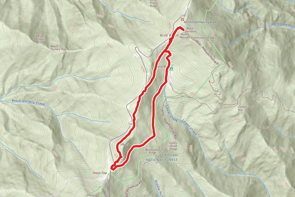 Camp Alice to Mount Mitchell Summit Trail
