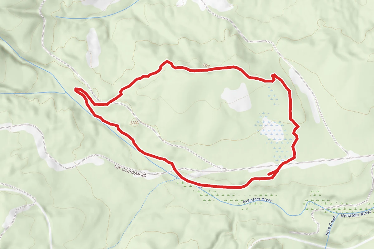 Triple C Trail to Gales Creek Trail Loop