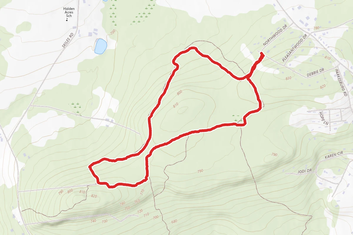 Sadsbury Woods Yellow Loop