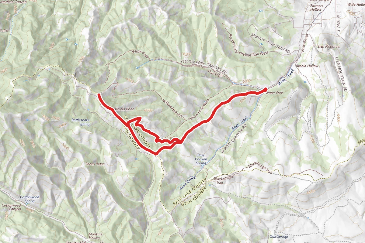 Yellow Fork Loop Trail to Breccia Knob