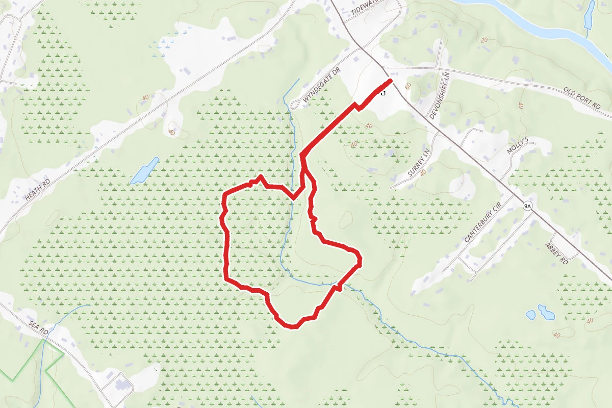The Secret Garden Trail