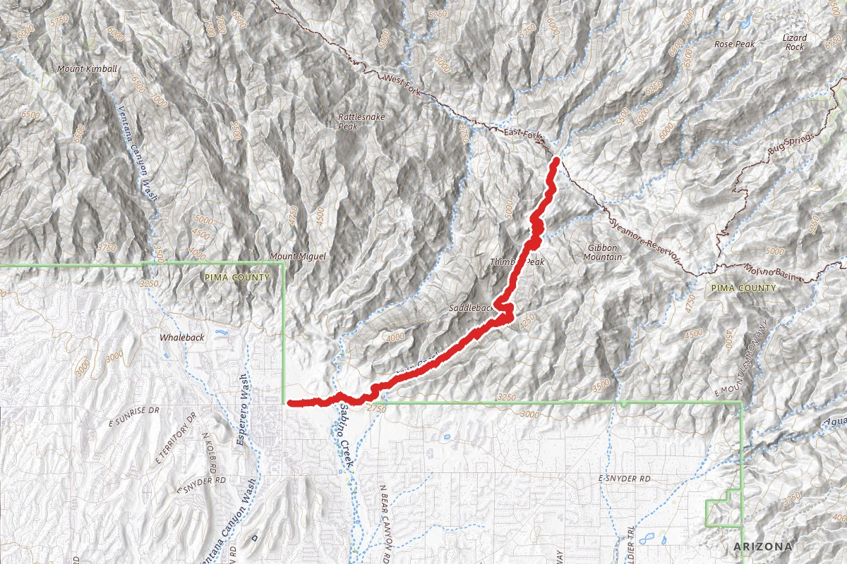Bear Canyon Trail Twenty-Nine