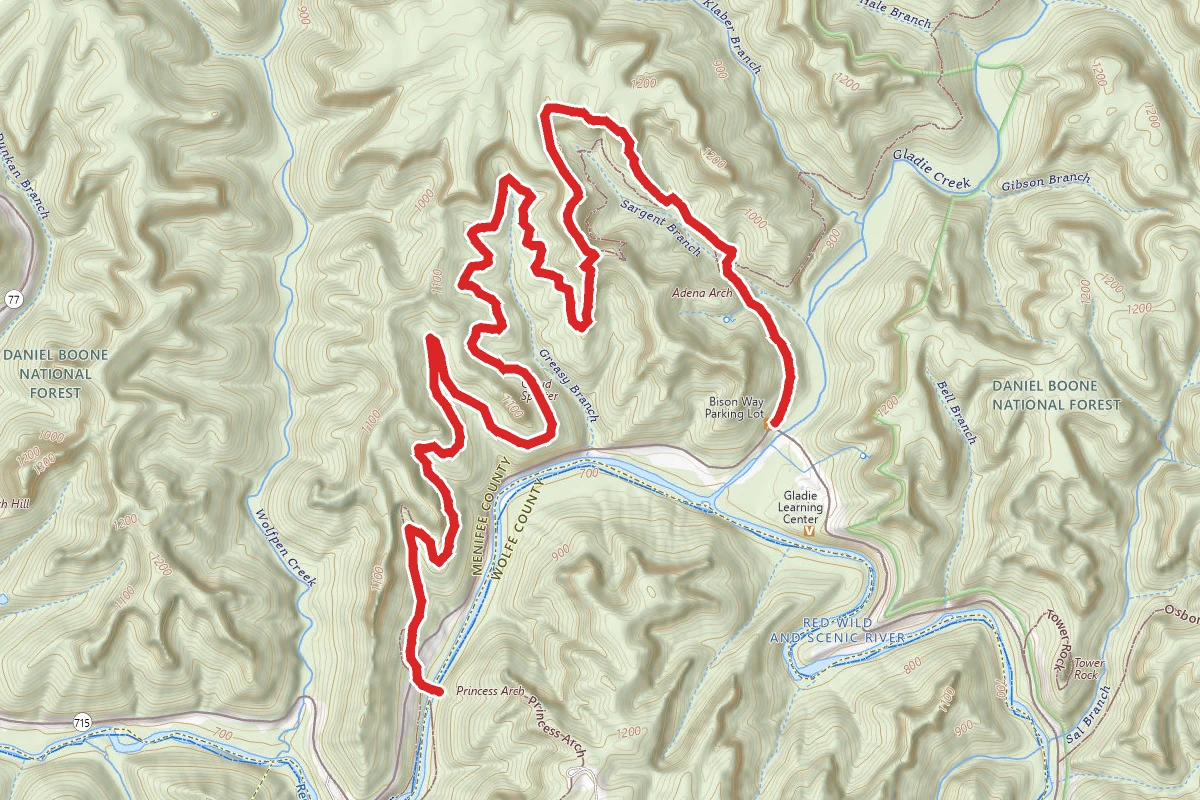 Bison Way to Indian Staircase to Sheltowee Trace Trail