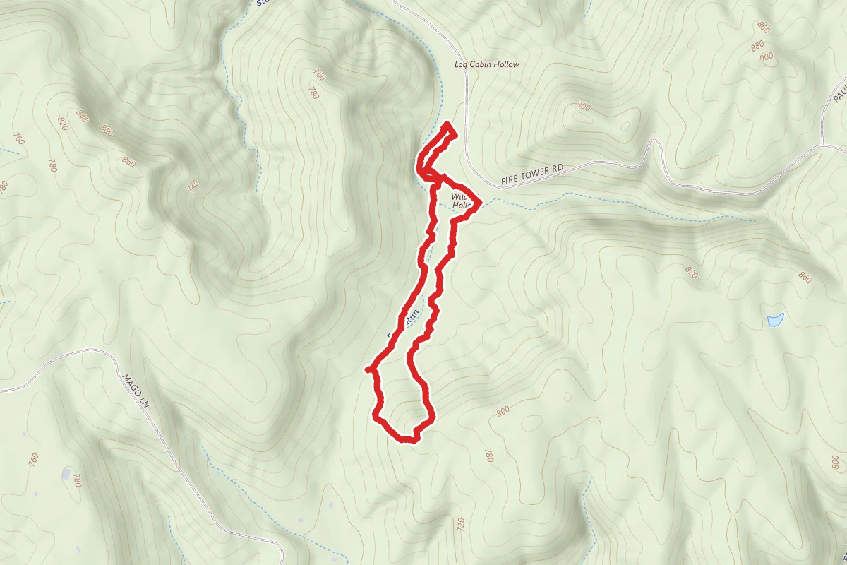 Jackson-Yoe Loop