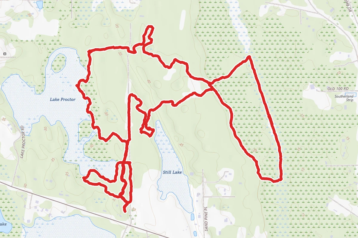 Lake Proctor Wilderness Loop Trail