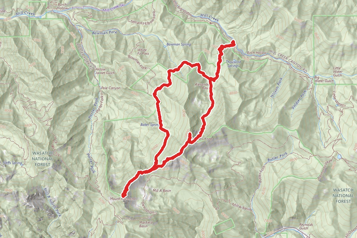 Mount Raymond via Alexander Basin Trail