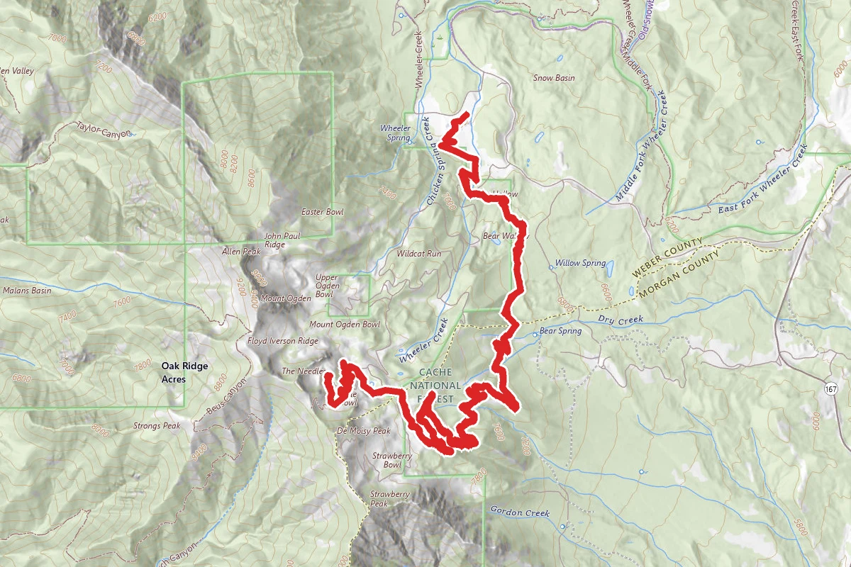 Snowbasin Needles Trail
