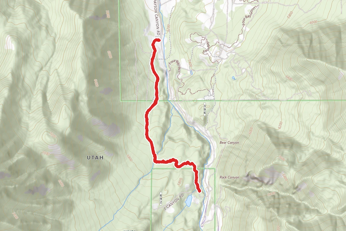 Pine Forest to Camp Maple Dell
