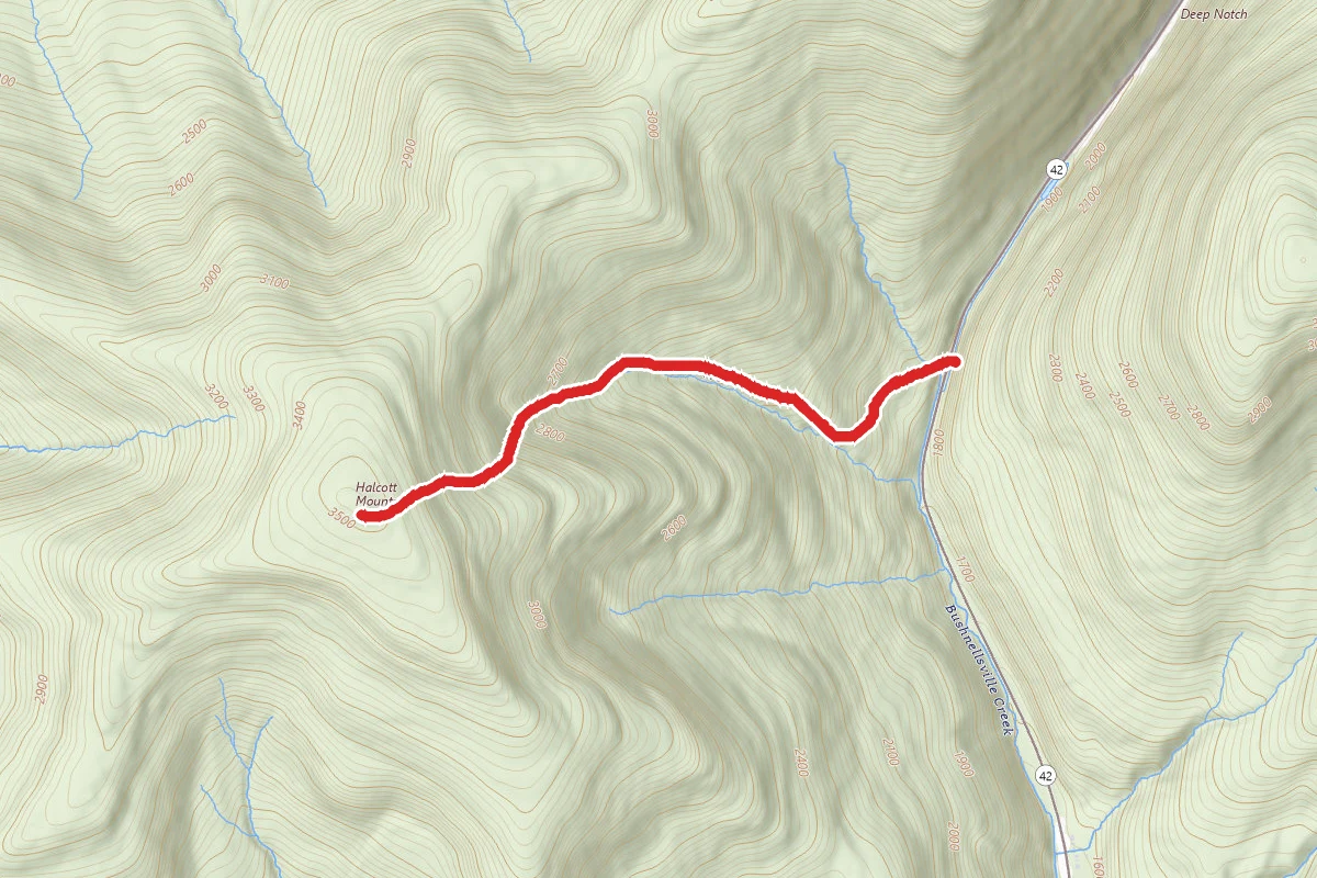 Halcott Mountain via Bushnellsville Creek