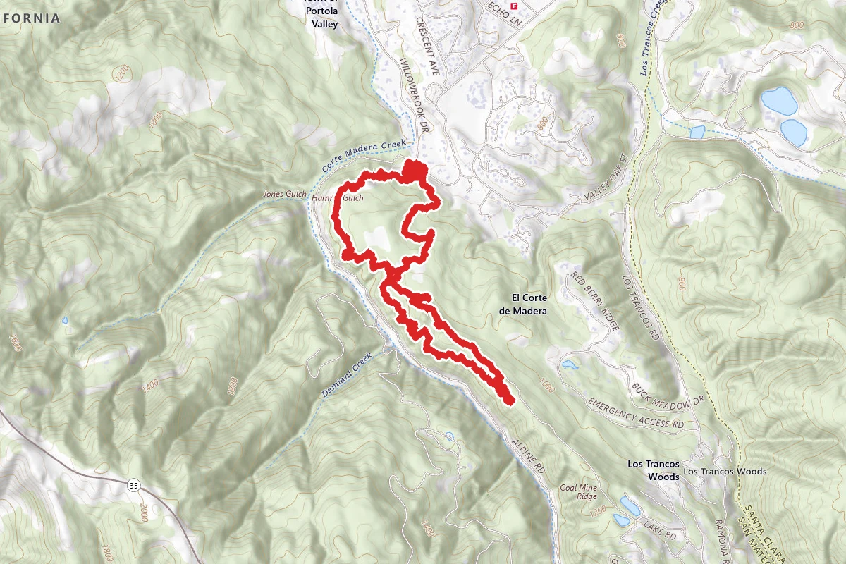 Toyon Trail and Coal Mine Ridge Loop