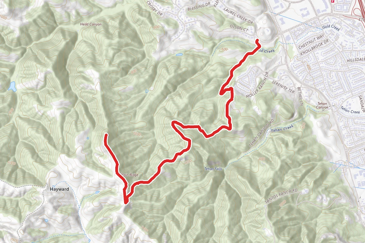 Preserve Trail to North Ridge Trail