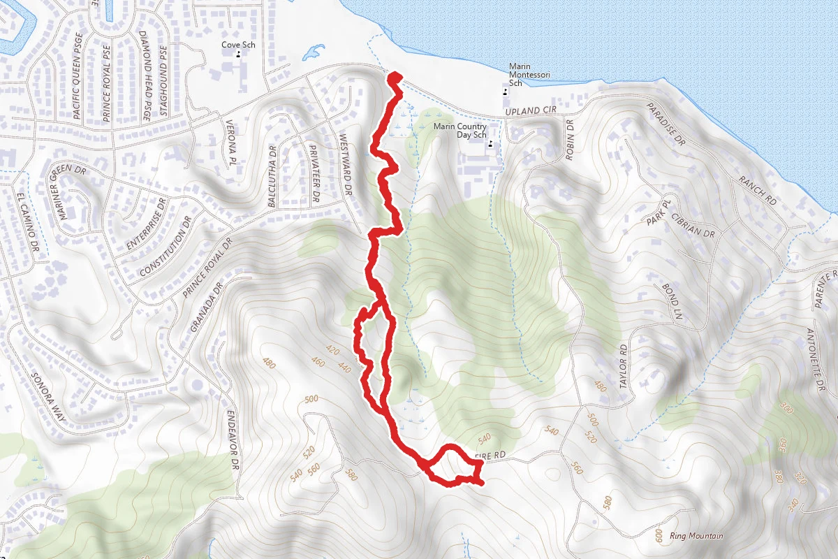 Phyllis Ellman Trail